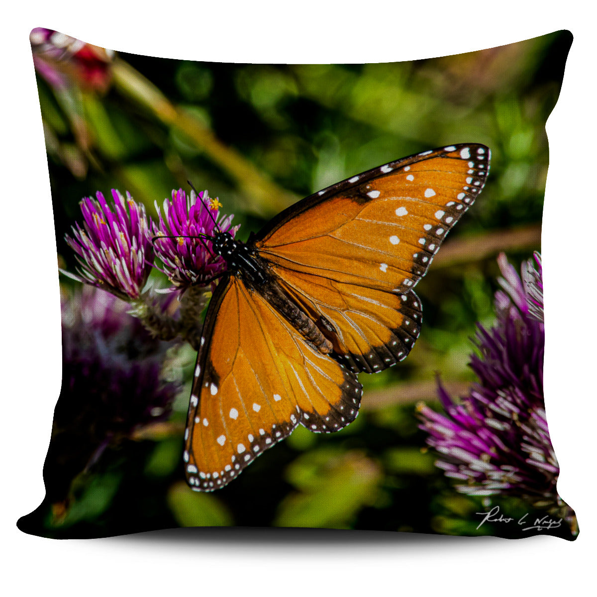 Butterfly Pillow Case