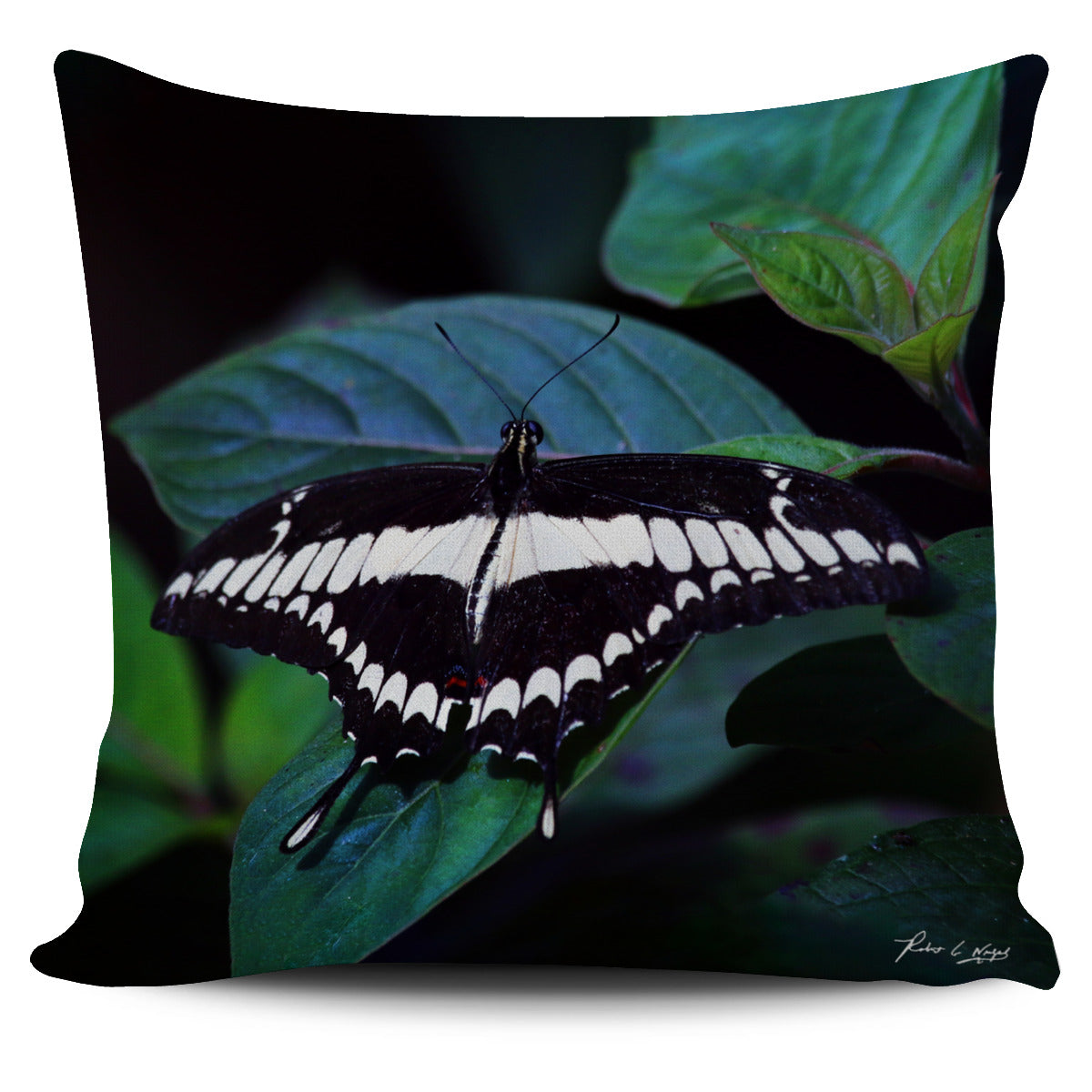 Butterfly Pillow Case