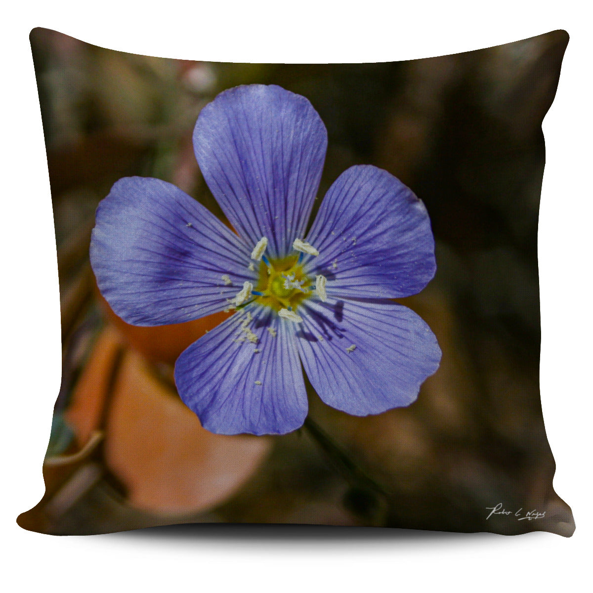 California Poppy Pillow Cover