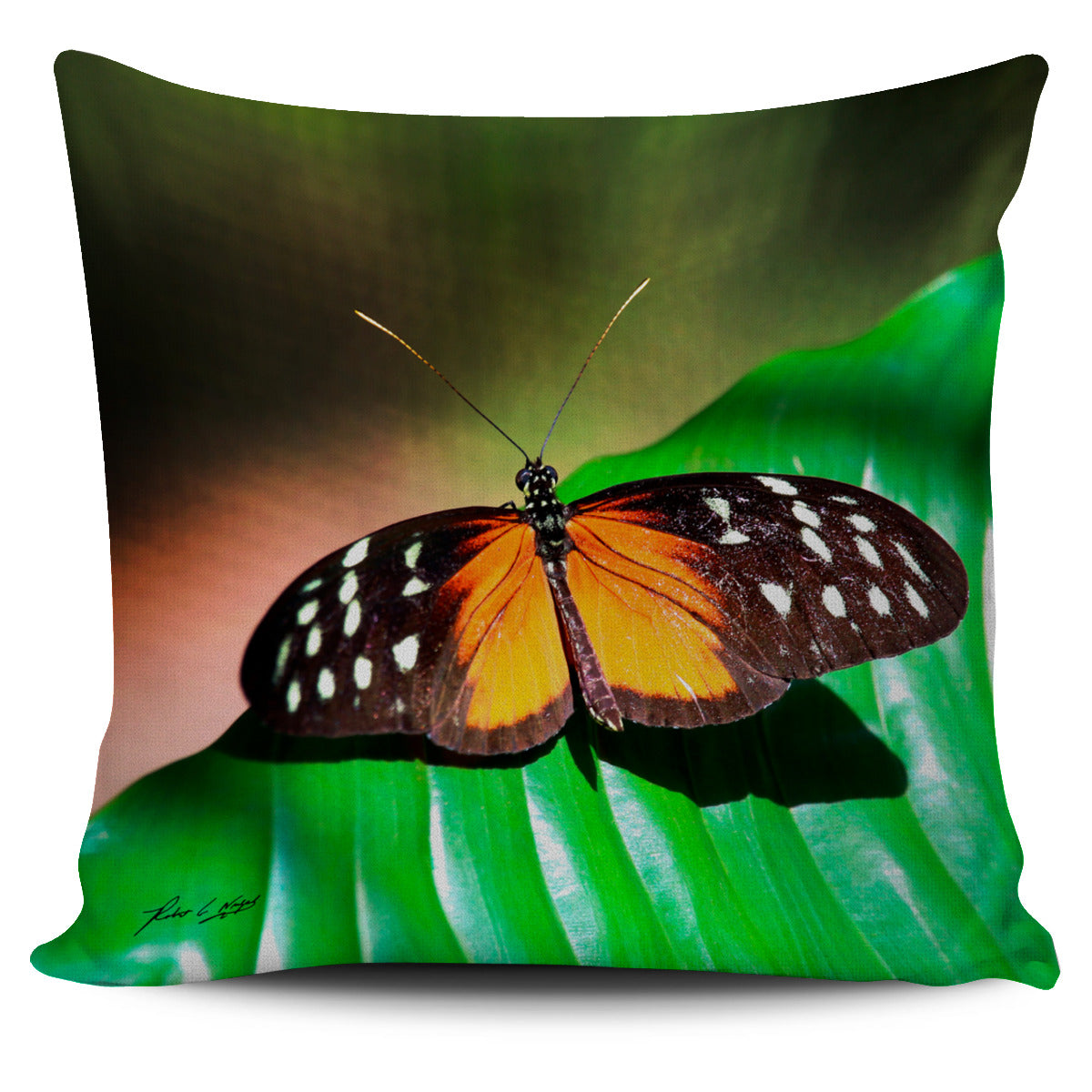 Butterfly Pillow Case