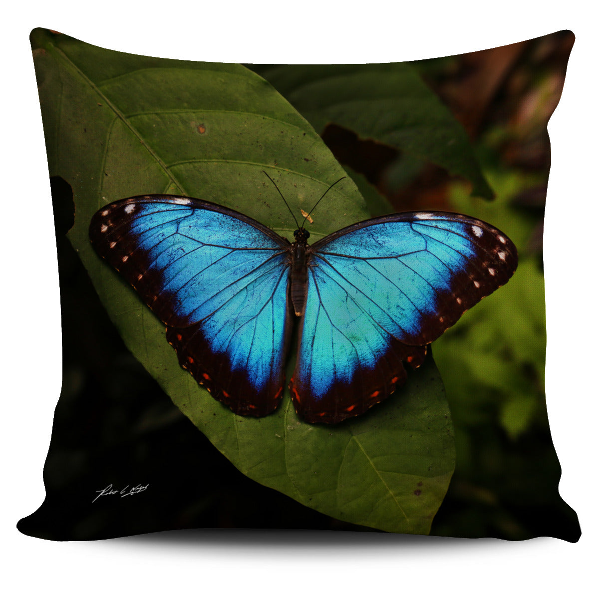 Butterfly Pillow Case