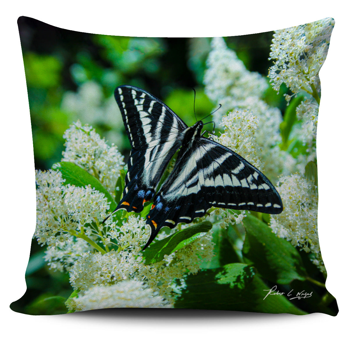 Butterfly Pillow Case