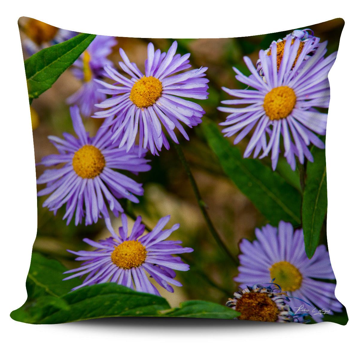 California Poppy Pillow Cover