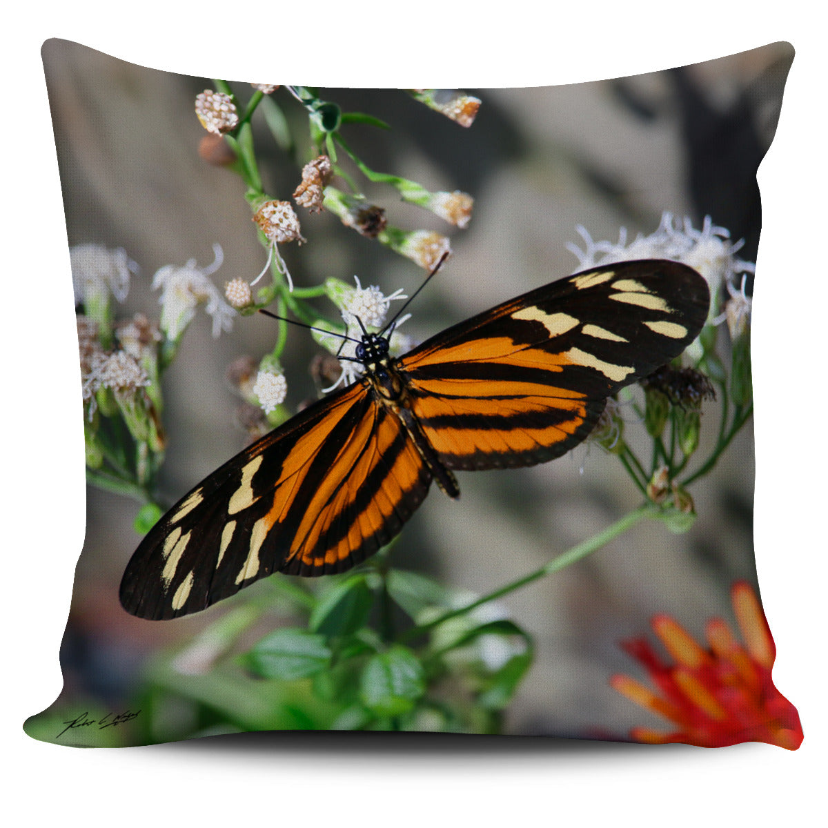 Butterfly Pillow Case