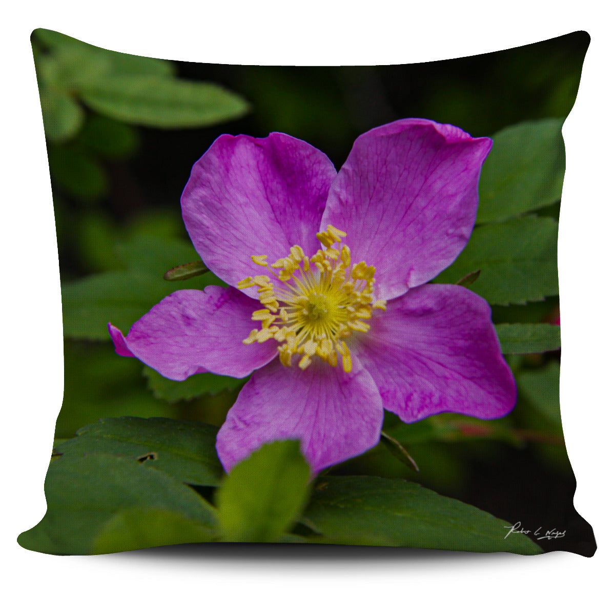 California Poppy Pillow Cover