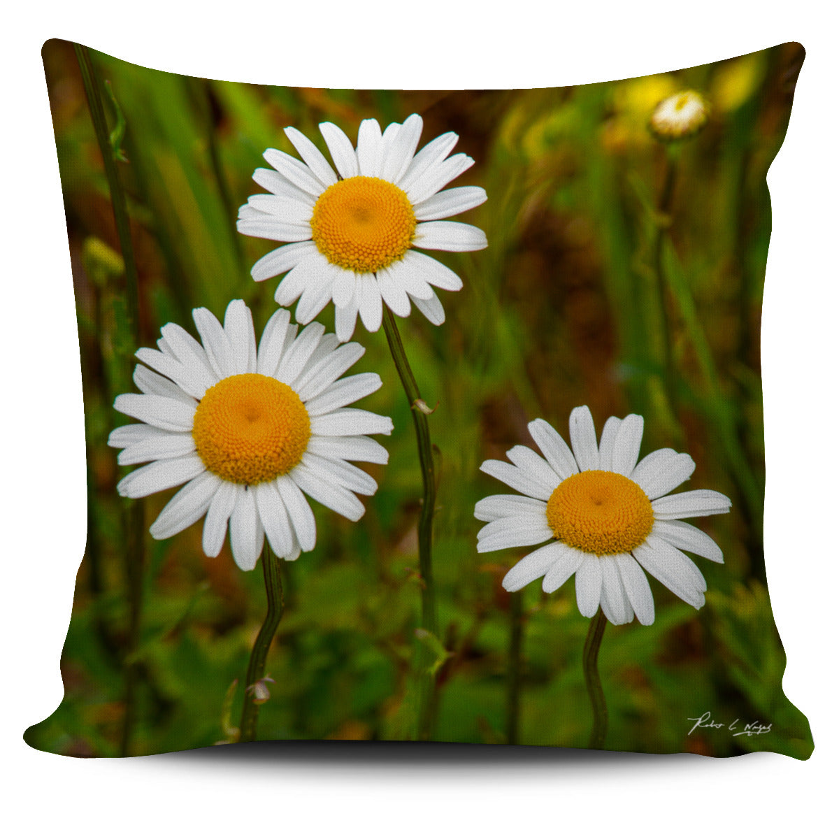 California Poppy Pillow Cover