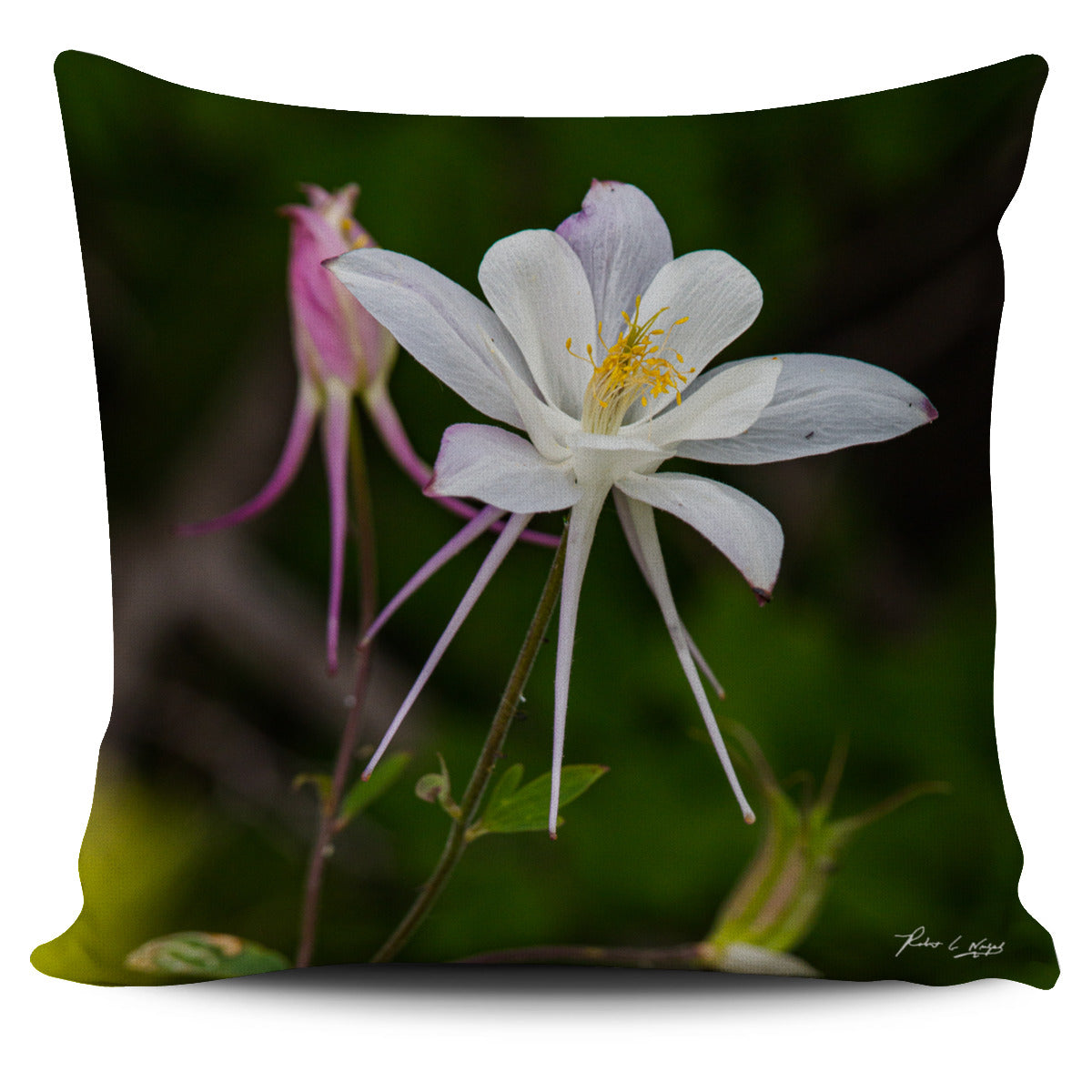 California Poppy Pillow Cover