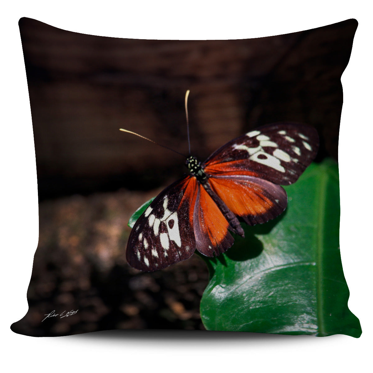 Butterfly Pillow Case