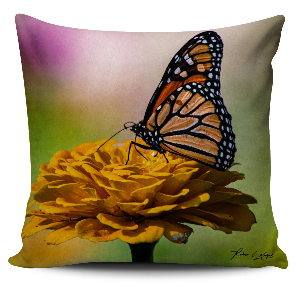 Butterfly Pillow Case