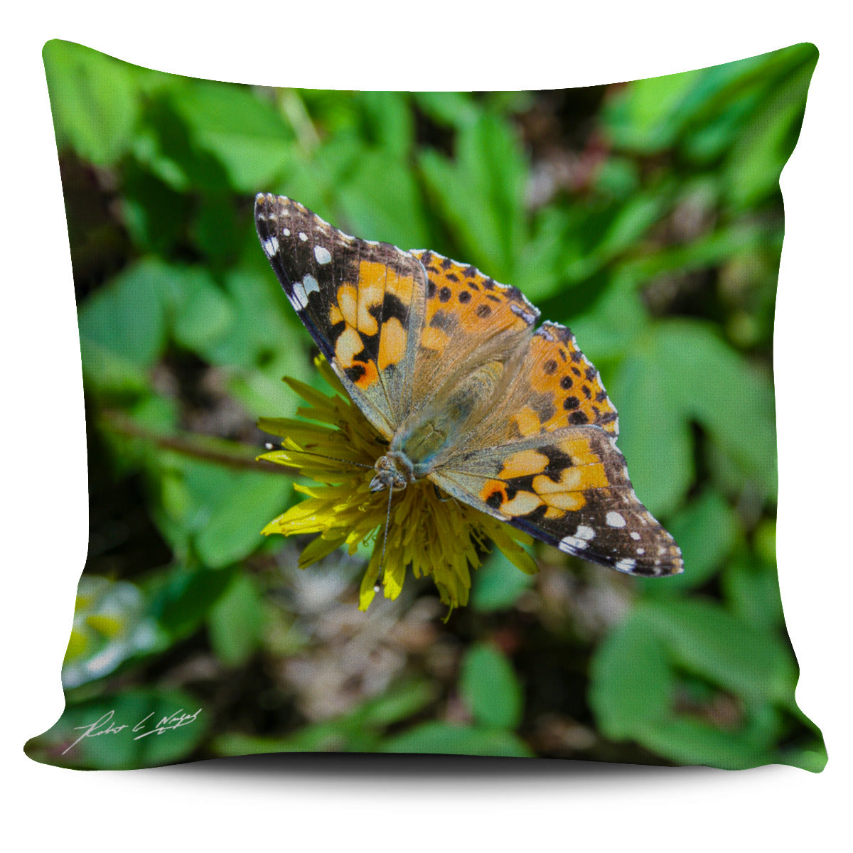 Butterfly Pillow Case