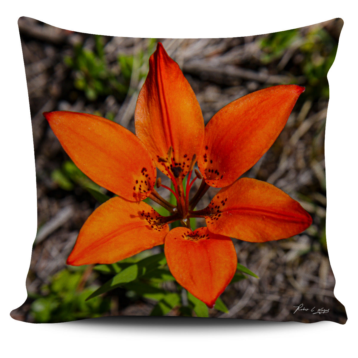 California Poppy Pillow Cover