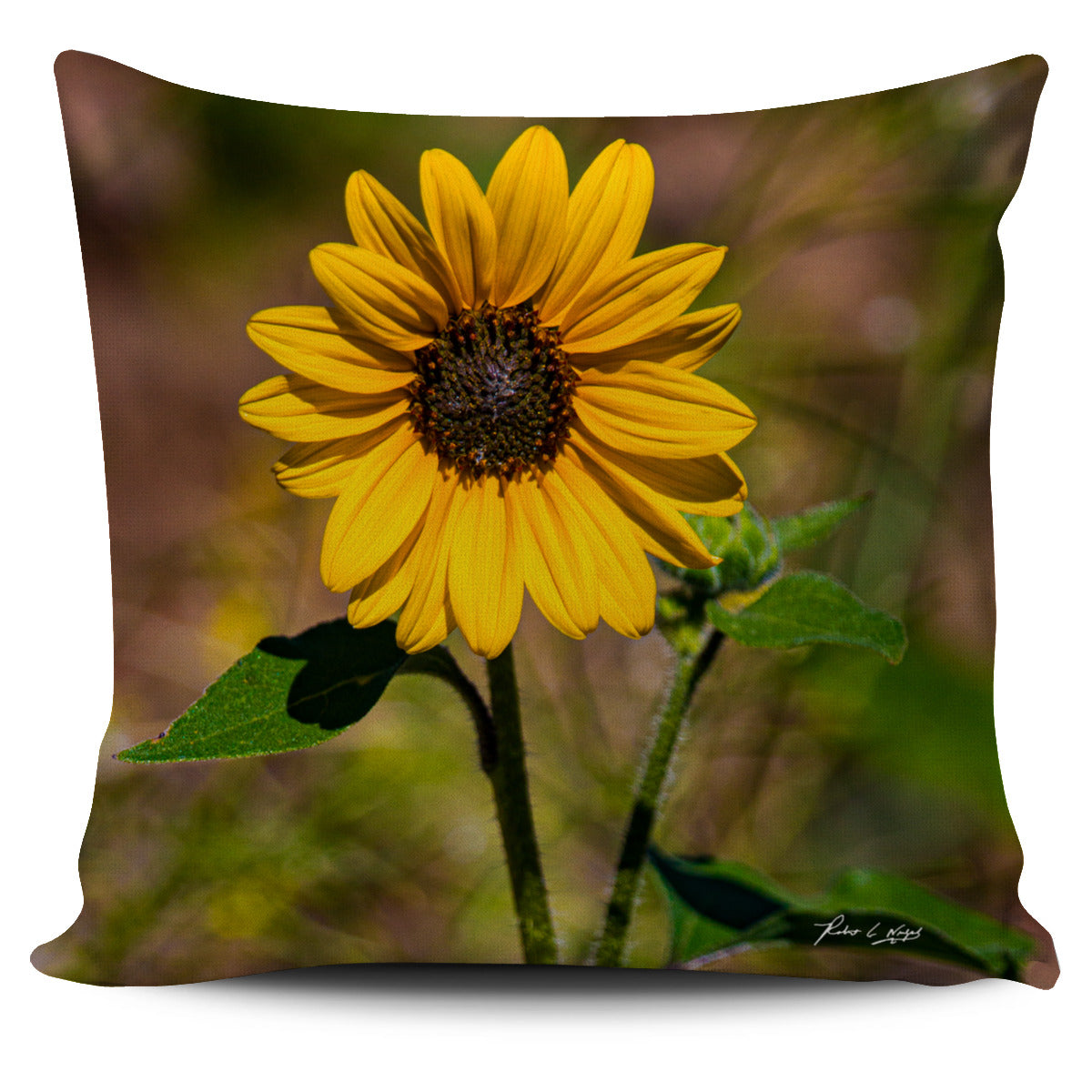 California Poppy Pillow Cover