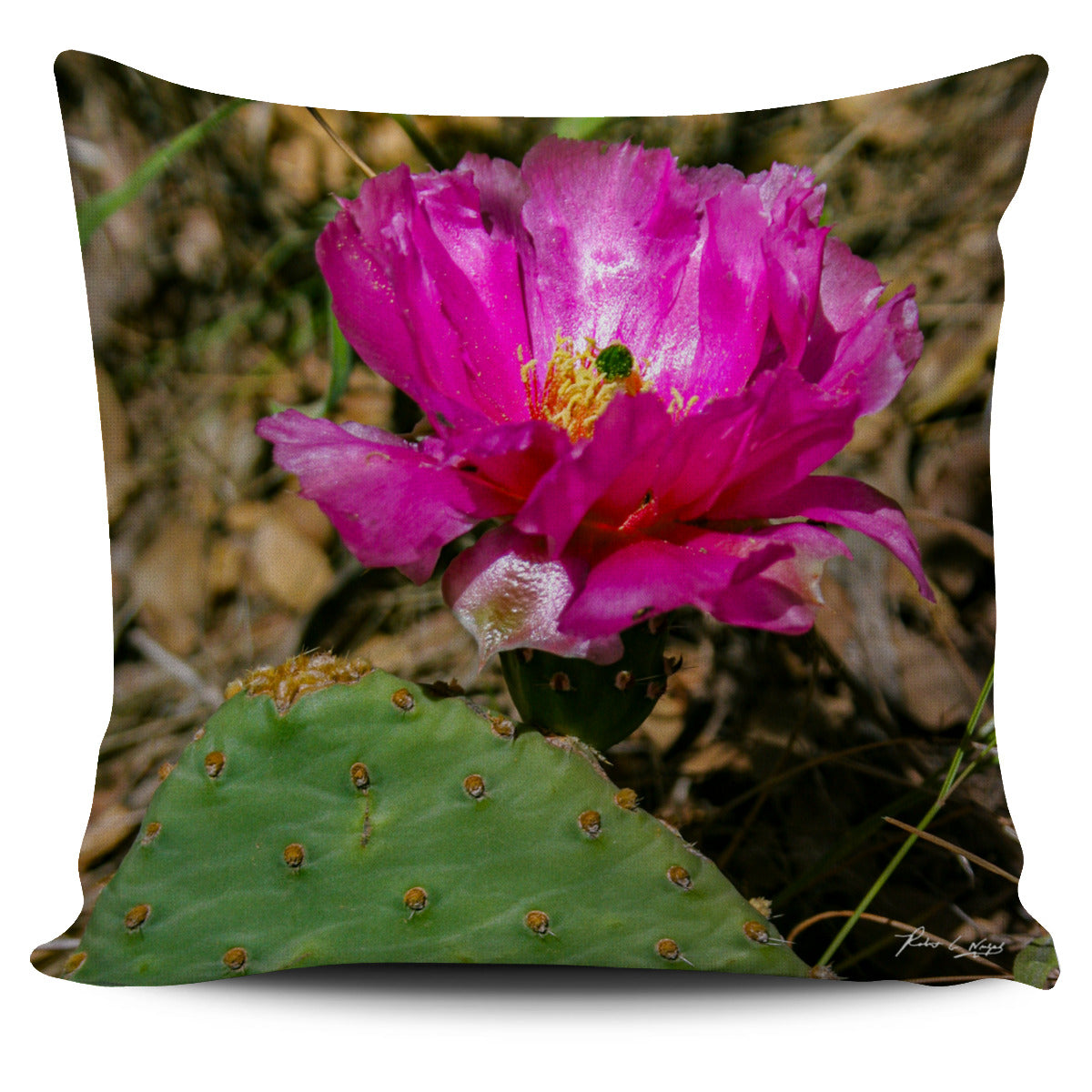 California Poppy Pillow Cover