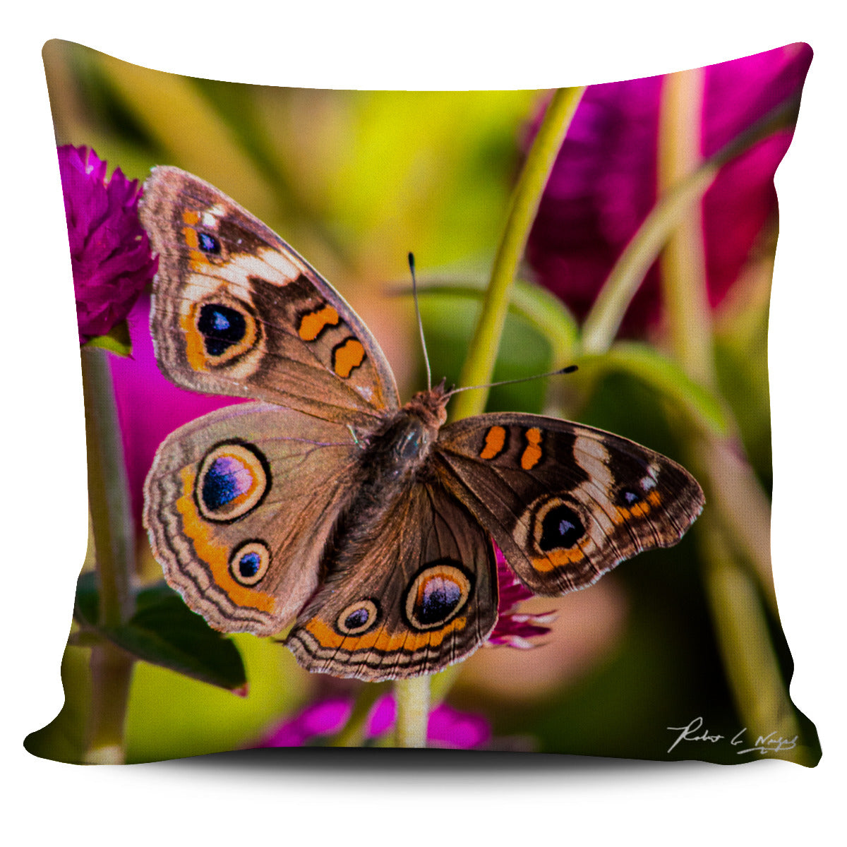 Butterfly Pillow Case