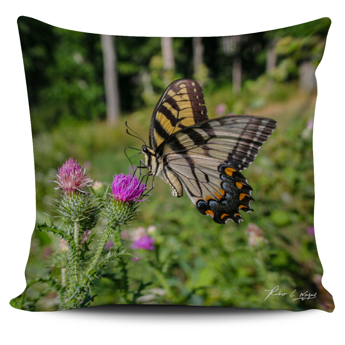 Butterfly Pillow Case