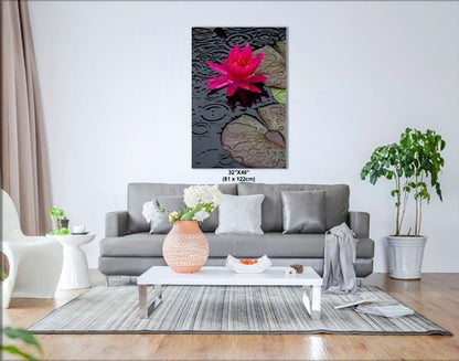 Fuchsia Waterlily | Botanical Photography | Vibrant Lotus Flower Wall Art, Rainy Day Photo, Home Decor, Fine Art Print